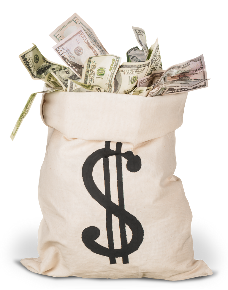 Money Bag